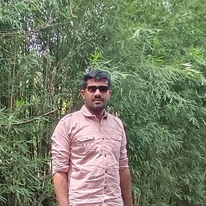 87641150 2170 medium large
