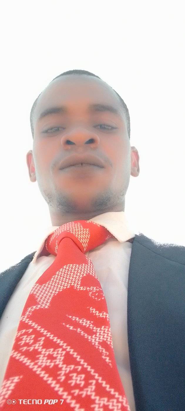 83018395 1678 medium large