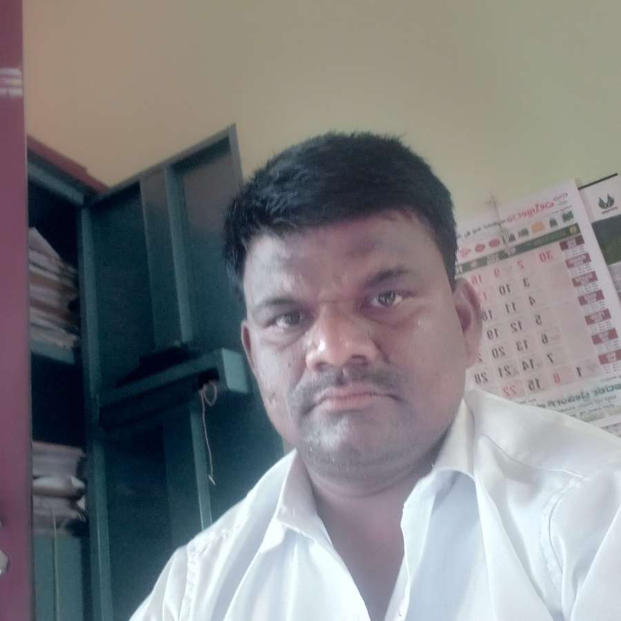 83803024 2213 medium large