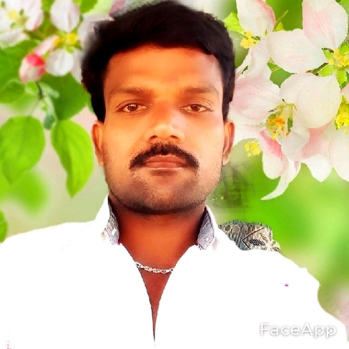 50863807 2172
