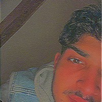 Nikola Memetovic's photo