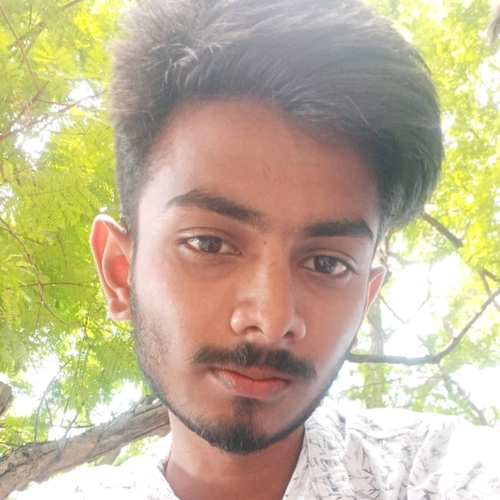 71930486 4099