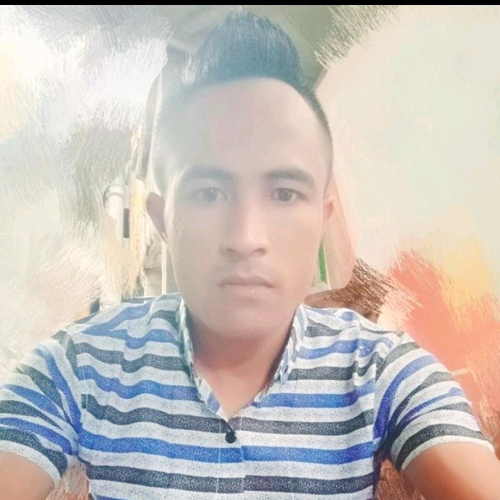 51232548 3115