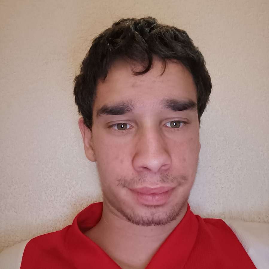 80809681 2913 medium large