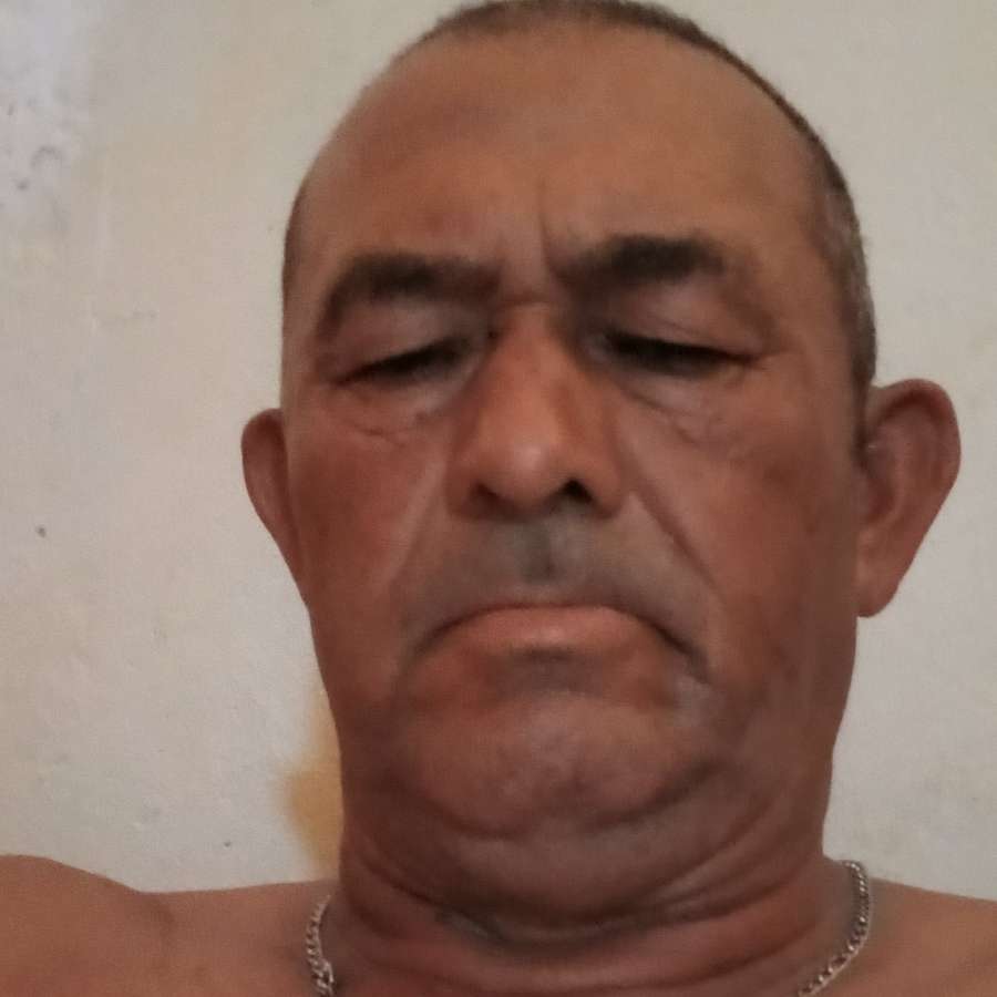84649256 1307 medium large