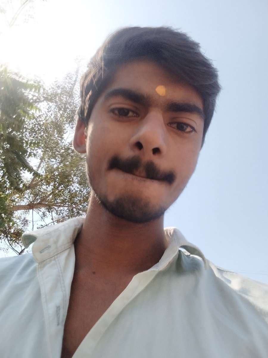 79436889 6590 medium large