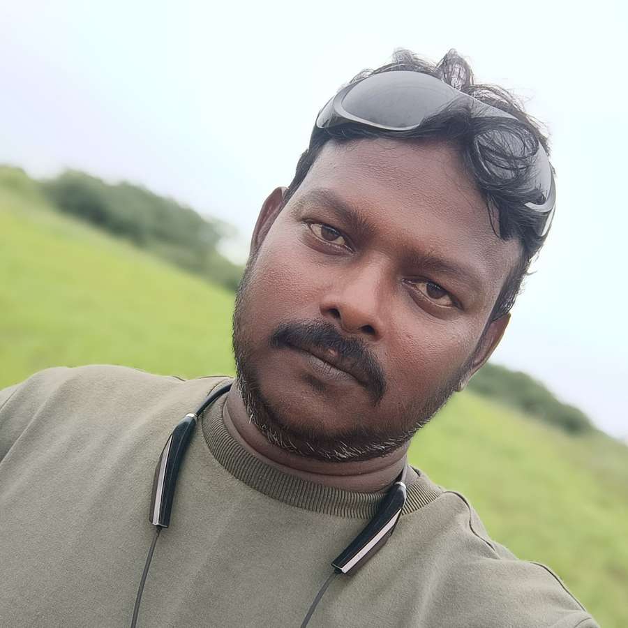 86477562 7563 medium large