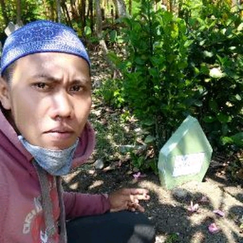 61435799 3370
