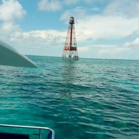 Skipperliner's photo