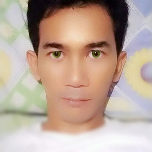 43320267 6516