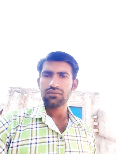 51486826 3519