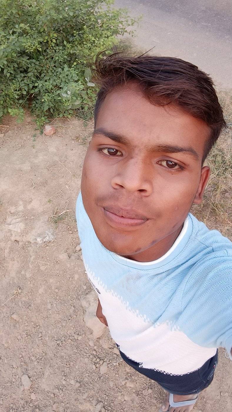 80443380 4643 medium large