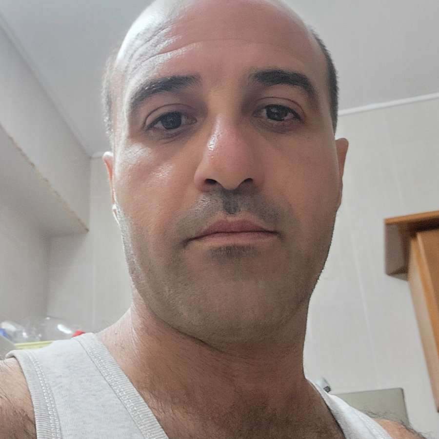83066093 1721 medium large
