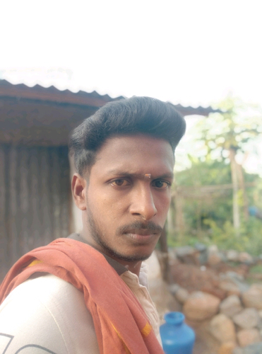 62773417 8174