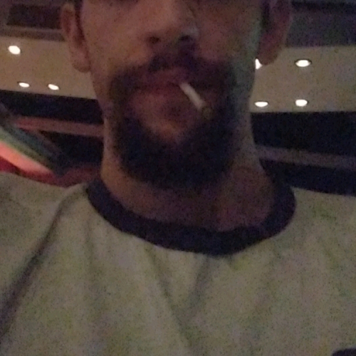 49919552 2351
