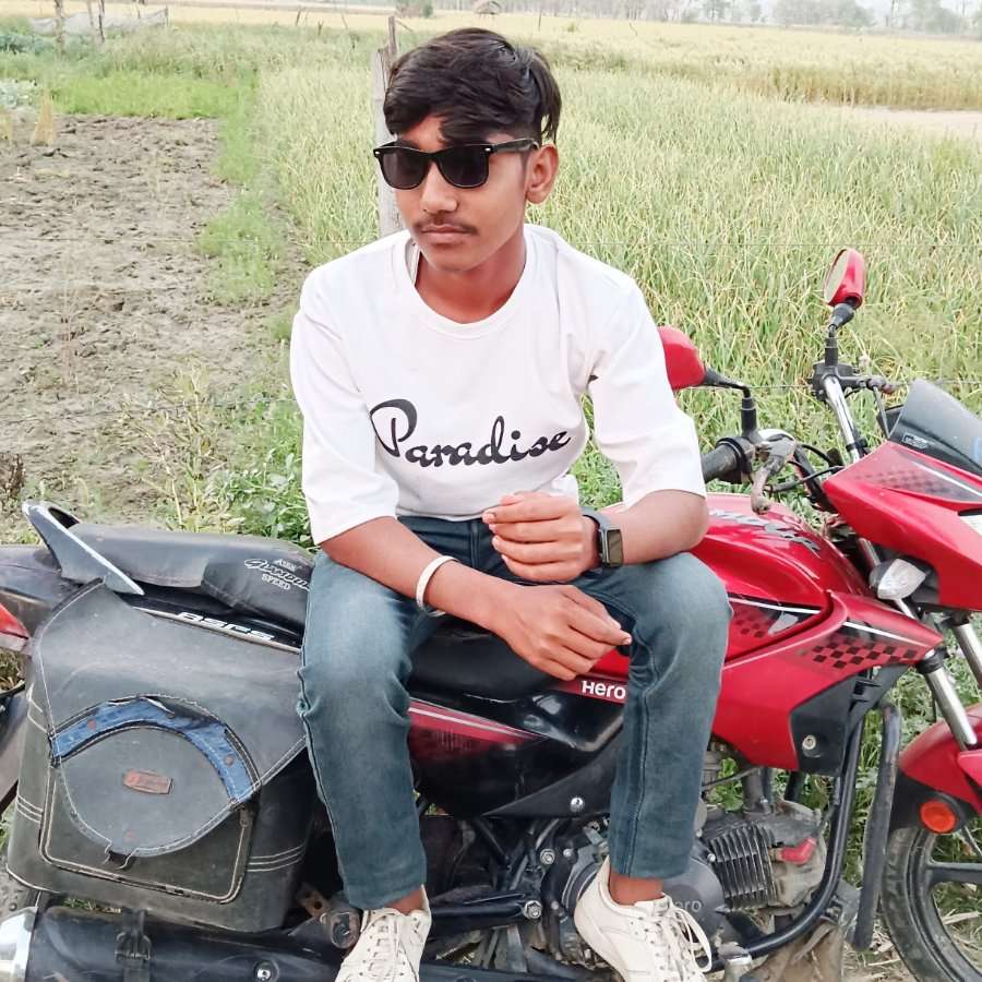 79580453 7516 medium large