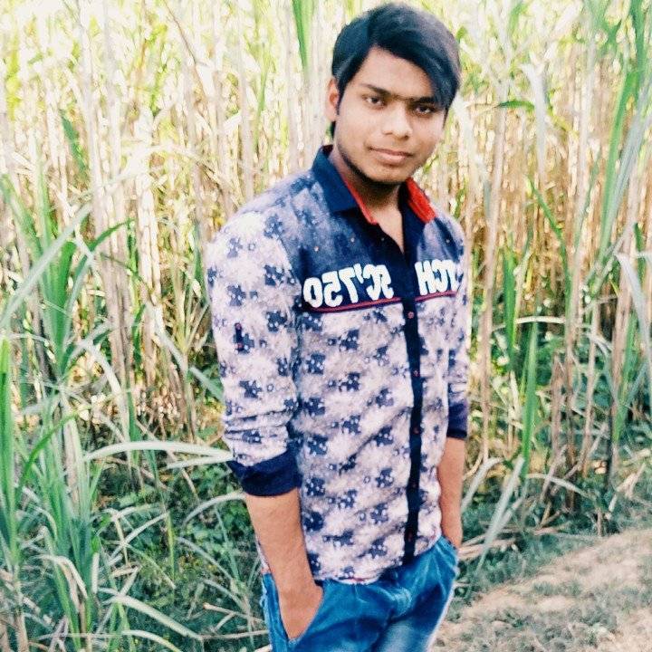 85667332 3569 medium large