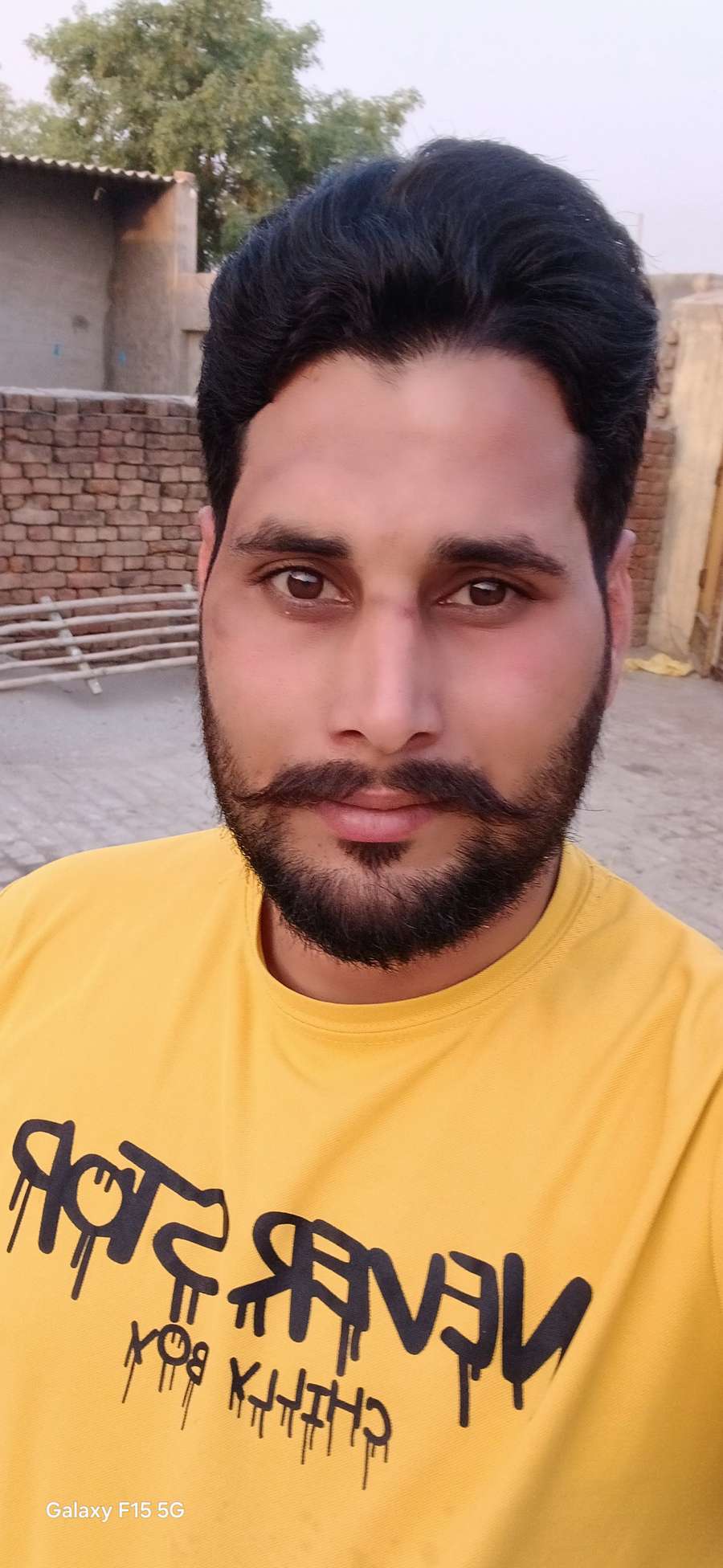 87984634 3635 medium large