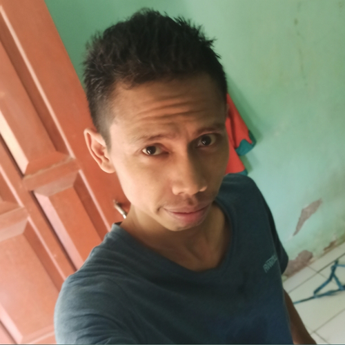 55099782 629