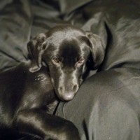 READ BIO SRSLY's photo