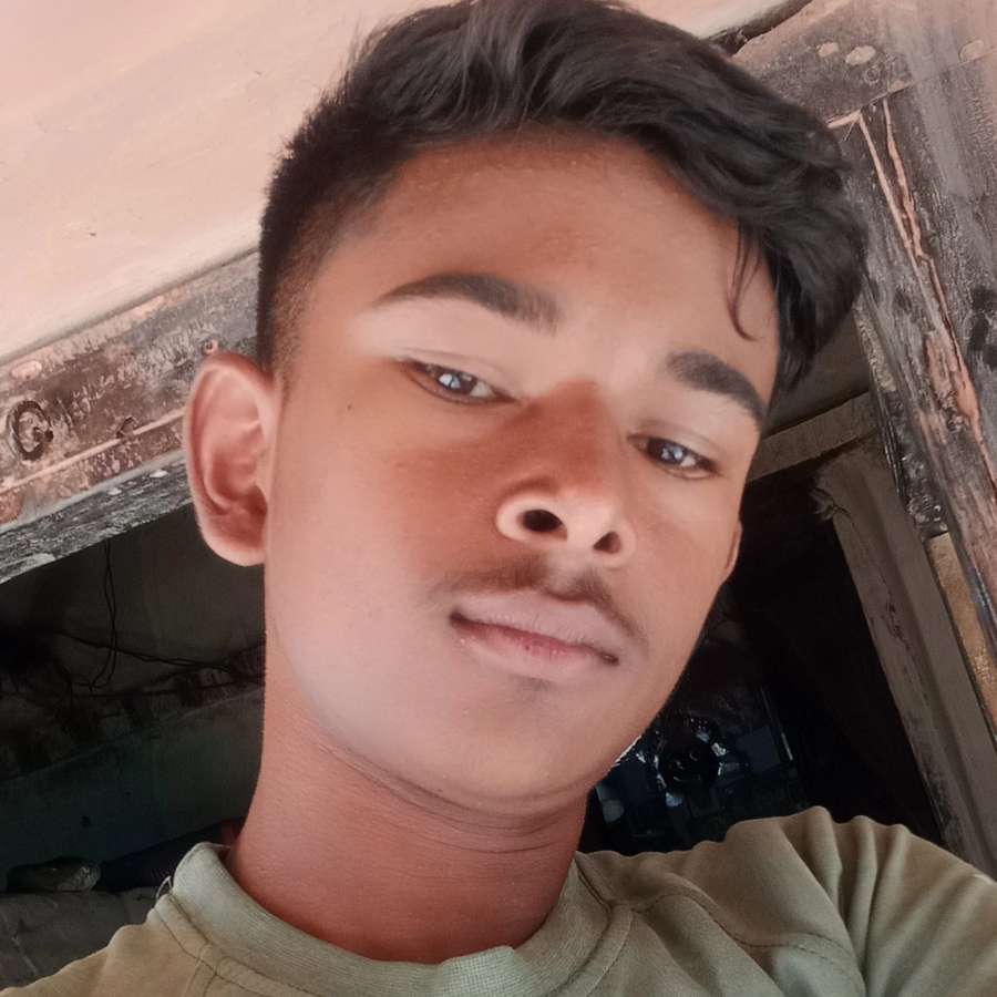 87735231 209 medium large