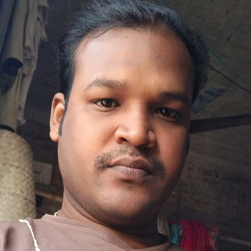 53303902 8721