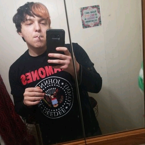 50712688 8721