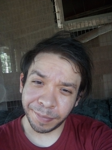44794297 9912