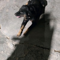 Palakurthi Ramesh's photo