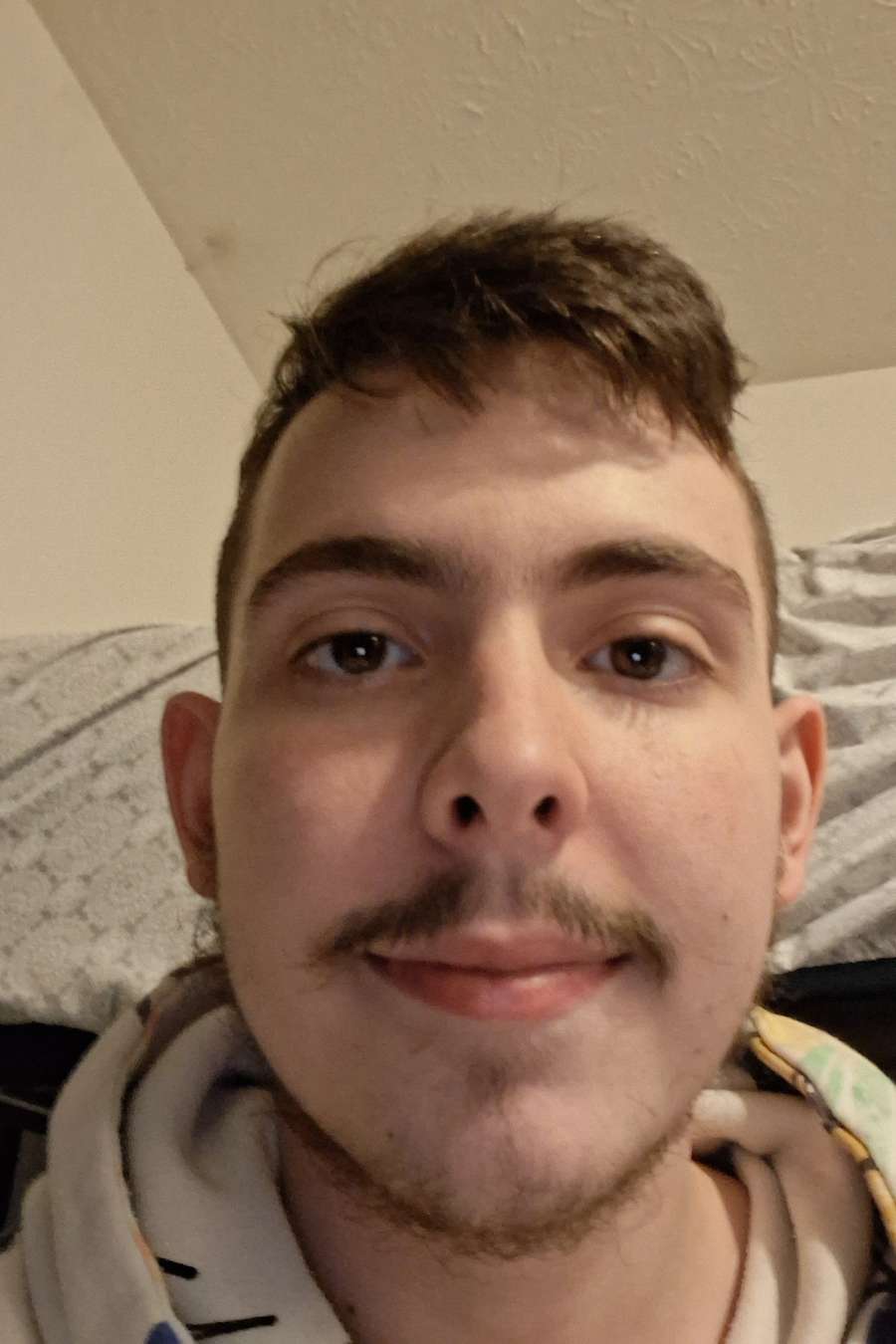 89648287 321 medium large