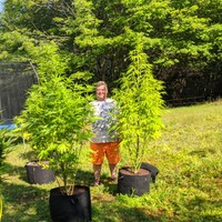 Mrbrightside's photo