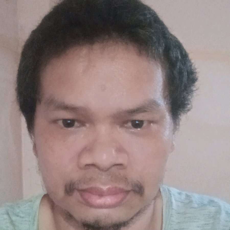 74912911 3837 medium large