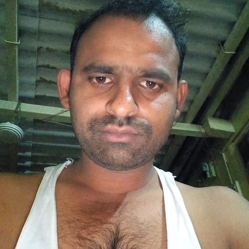 53407588 7177