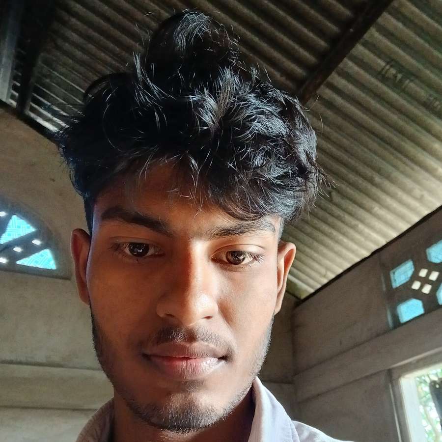 86968682 3331 medium large