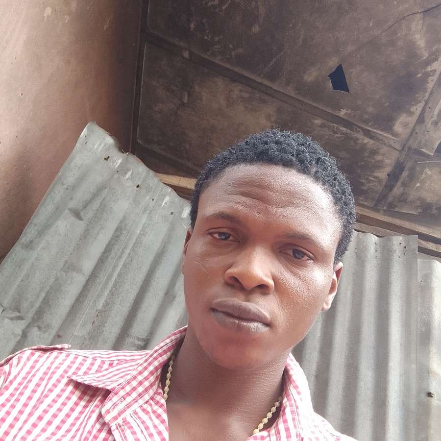 81073567 8806 medium large