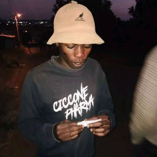 82738547 5088 medium large