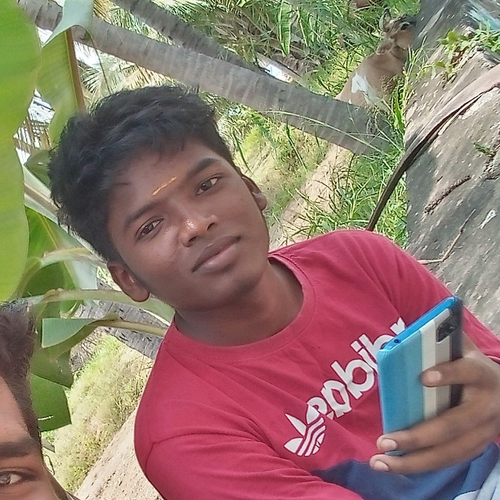 68898335 139
