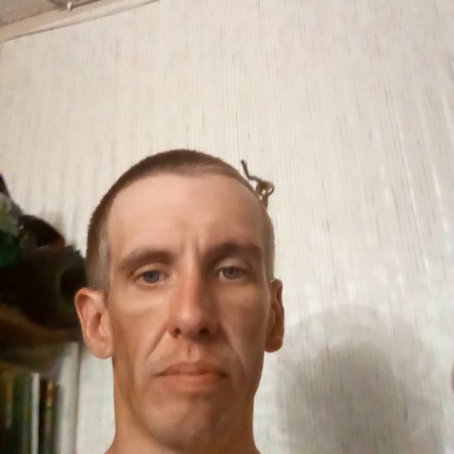 45415177 7310