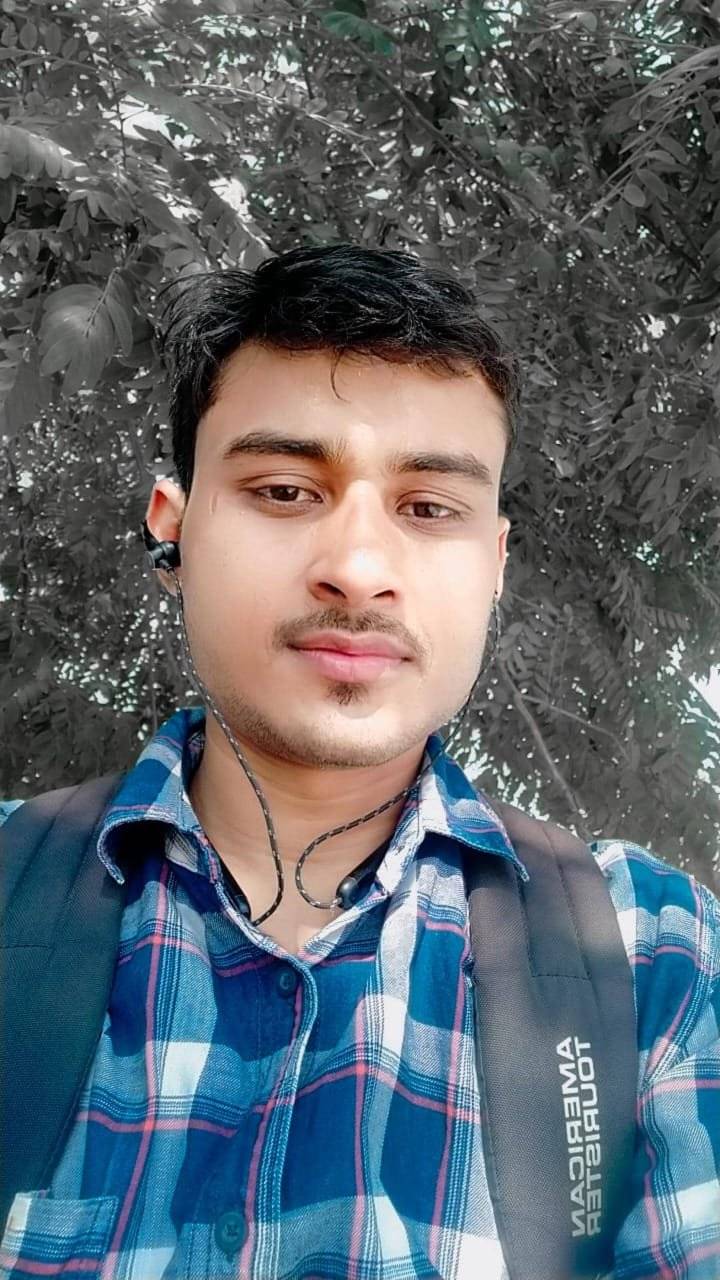 55994407 6198 medium large