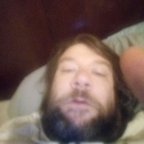 49892492 8192