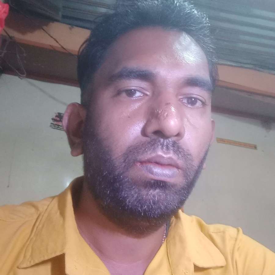 88067303 6830 medium large