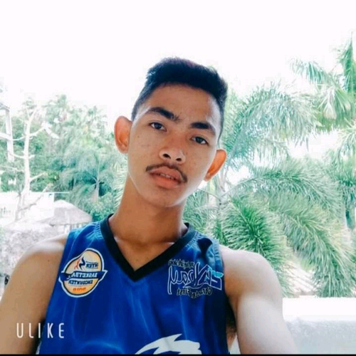 54968767 6805