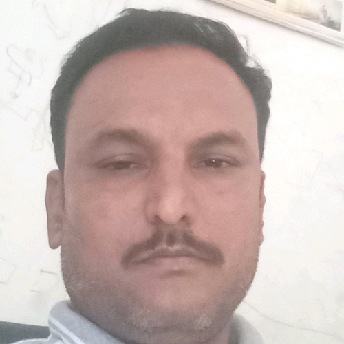 51450077 2561
