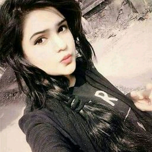 53609293 6541