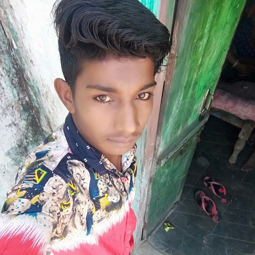 49113494 6886