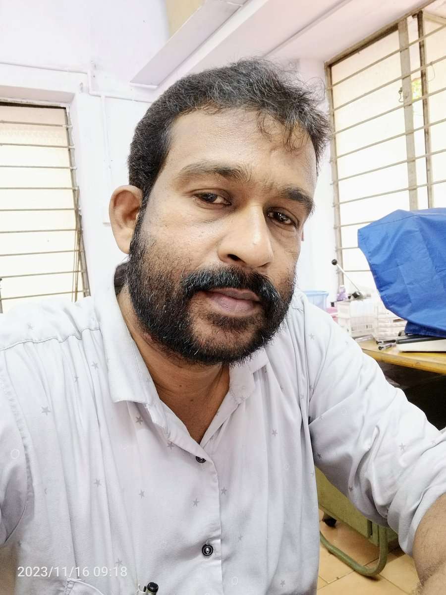 75072288 6146 medium large