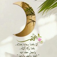Saleh alraimi's photo