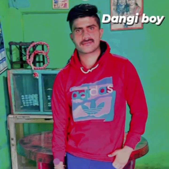 85662664 8237 medium large