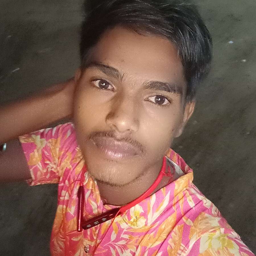 86564128 8213 medium large