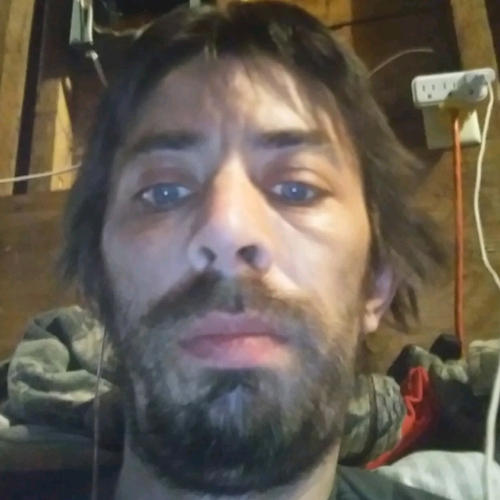 49922626 3818